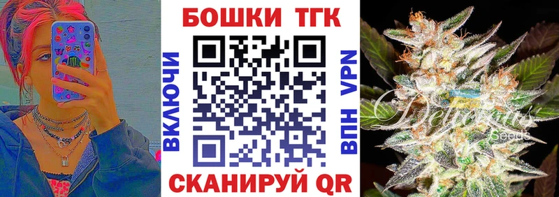 Шишки марихуана сатива  наркота  Нерюнгри 